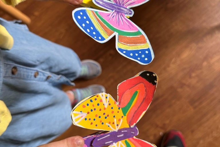 Judges Lodgings Butterflies