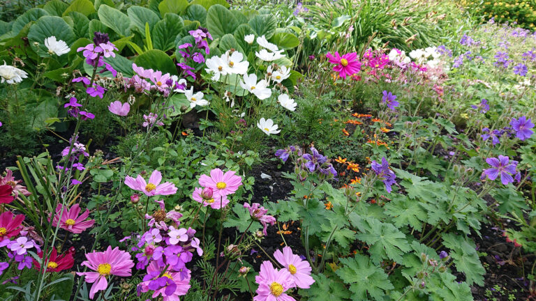 Garden at Lancaster Judges Lodgings