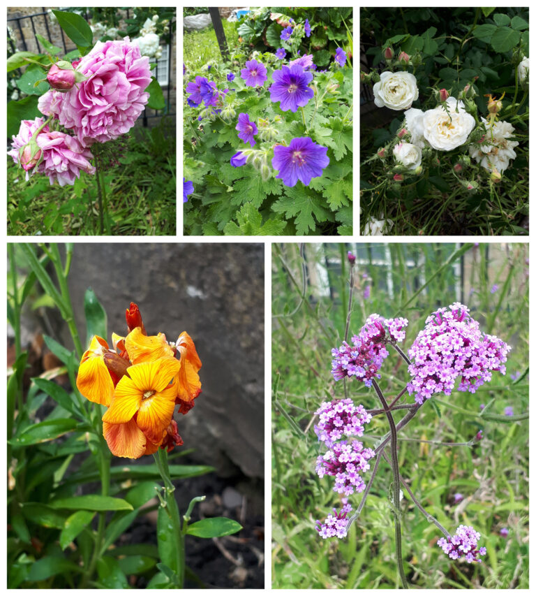 In the Secret Gardens – hidden oasis around Lancaster that offer sanctuary away from the noise and bustle of the city